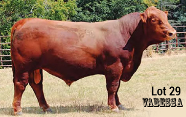 Lot 29 - TJB 914U VALERO 4112C ET